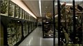 chateaudun120229_071 Musee